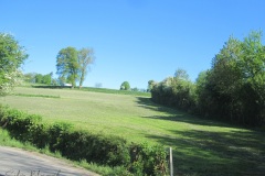 IMG_9013