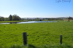 P4260339