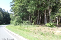 P6210073