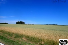 P6280098